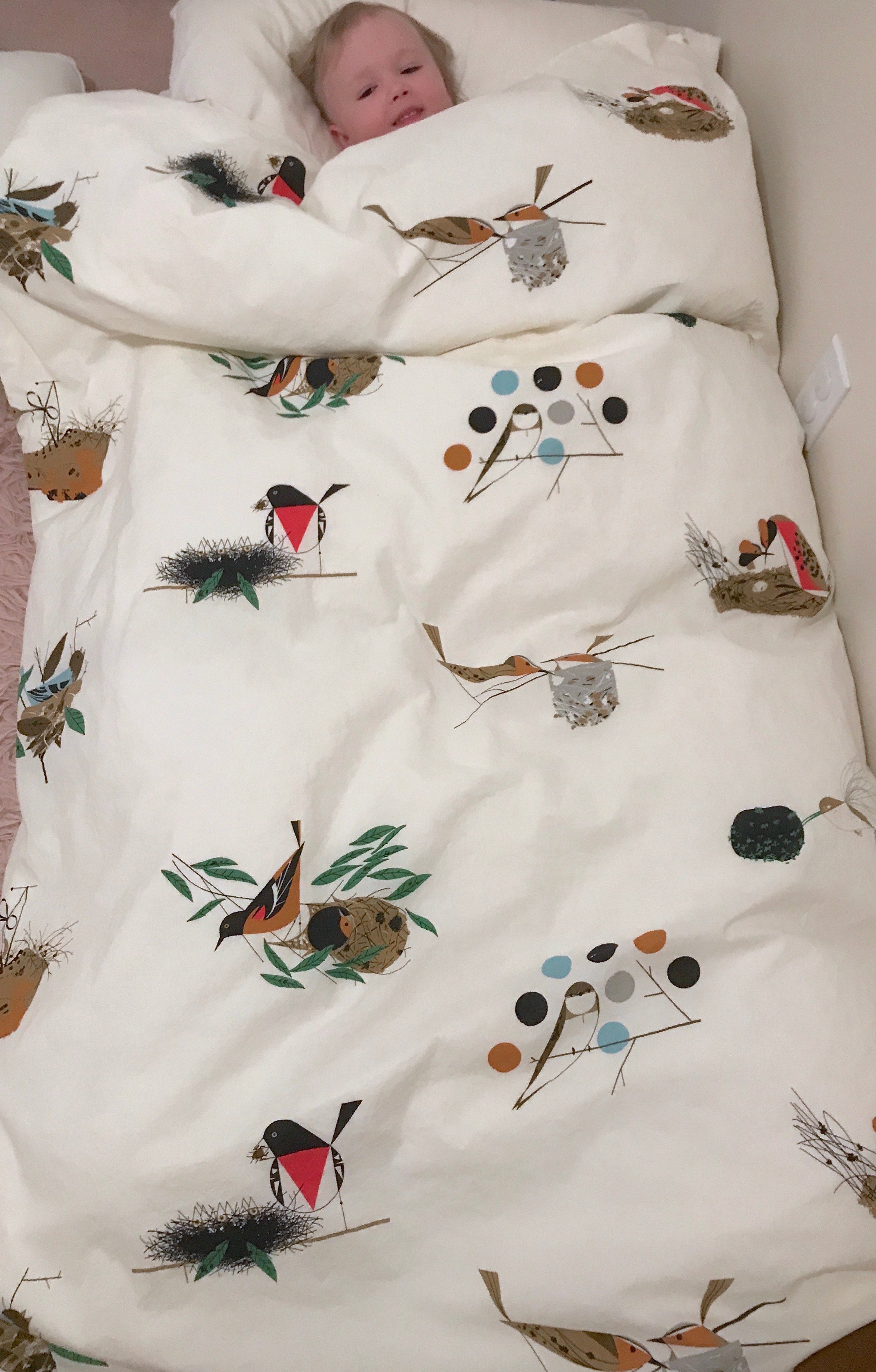 Crib/Toddler/Travel Duvet oz – Old Europe Duvet Company